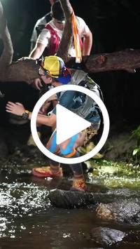 BIB:  <button type="button" onclick="openModal(27497938)" class="btn btn-primary btn-sm float-right" data-toggle="modal" data-target=".modal-high-quality">
                <i class="fa fa-download"></i> Download
                </button>